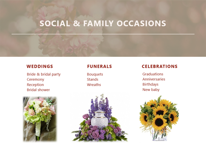 About Buds, Blooms & Beyond Tampa, FL Florist